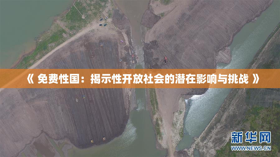 《 免费性国：揭示性开放社会的潜在影响与挑战 》