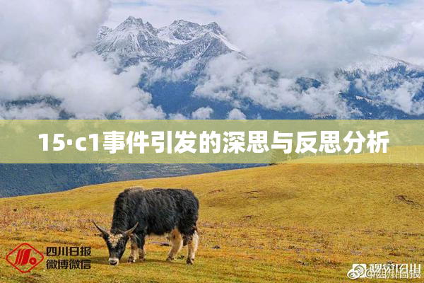 15·c1事件引发的深思与反思分析