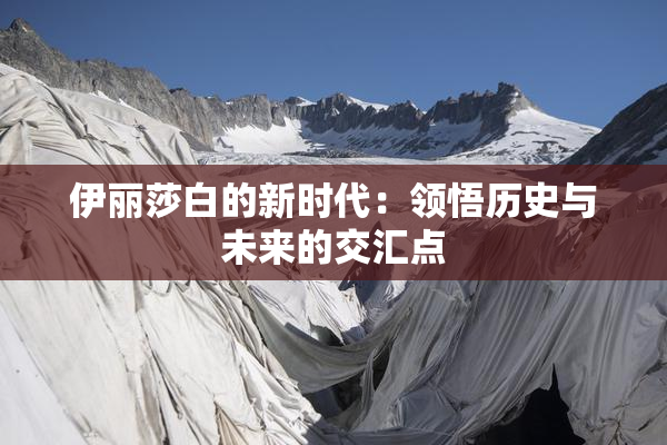 伊丽莎白的新时代：领悟历史与未来的交汇点