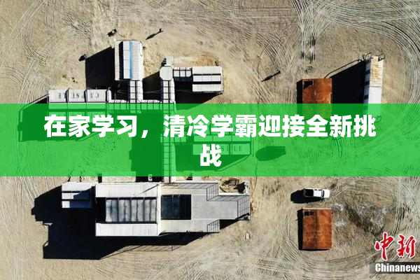 在家学习，清冷学霸迎接全新挑战