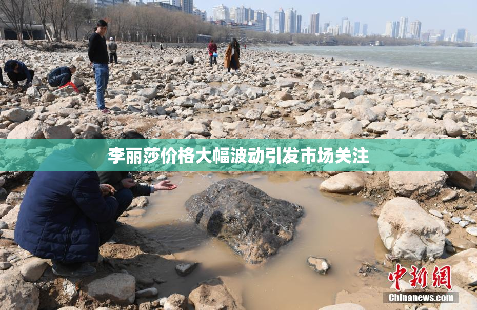 李丽莎价格大幅波动引发市场关注