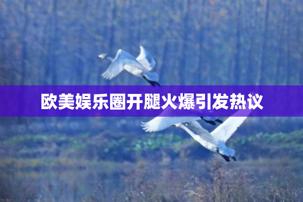 欧美娱乐圈开腿火爆引发热议