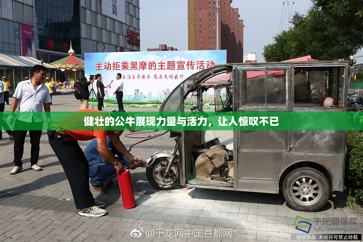 健壮的公牛展现力量与活力，让人惊叹不已