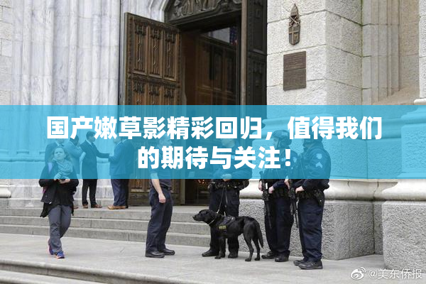 国产嫩草影精彩回归，值得我们的期待与关注！