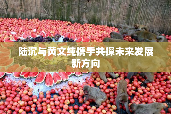 陆沉与黄文纯携手共探未来发展新方向