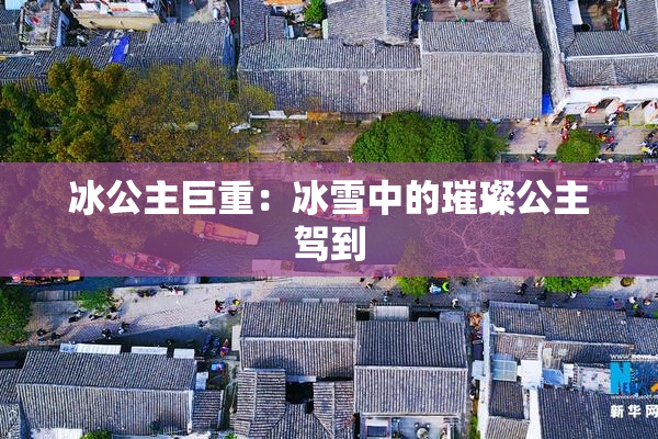 冰公主巨重：冰雪中的璀璨公主驾到