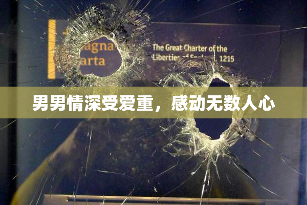 男男情深受爱重，感动无数人心