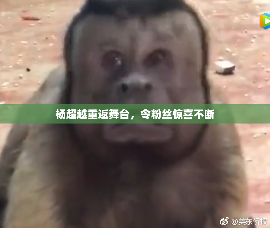 杨超越重返舞台，令粉丝惊喜不断