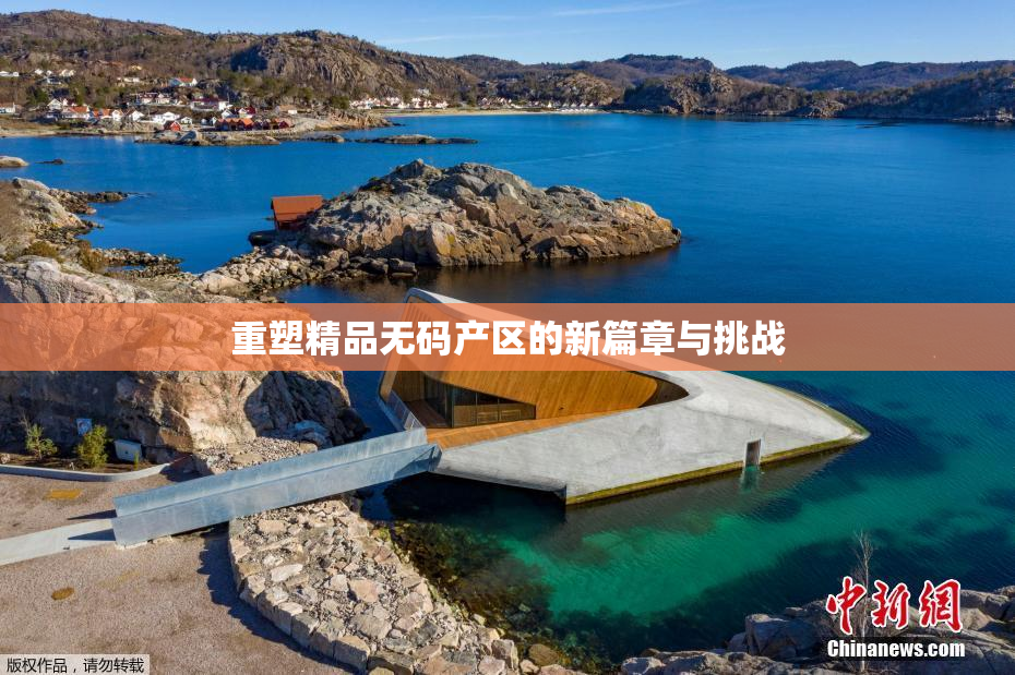 重塑精品无码产区的新篇章与挑战