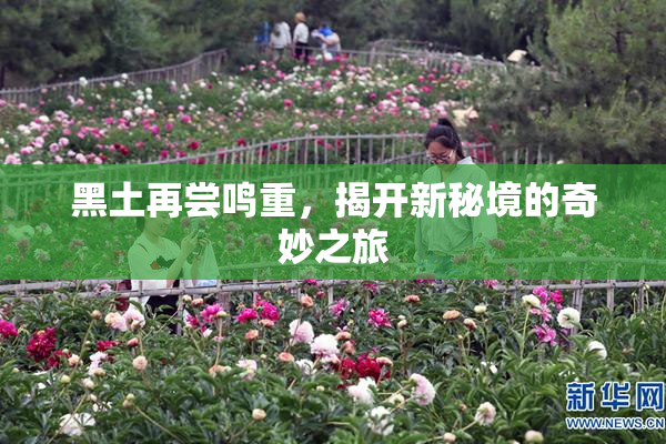 黑土再尝鸣重，揭开新秘境的奇妙之旅