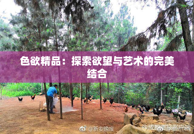 色欲精品：探索欲望与艺术的完美结合