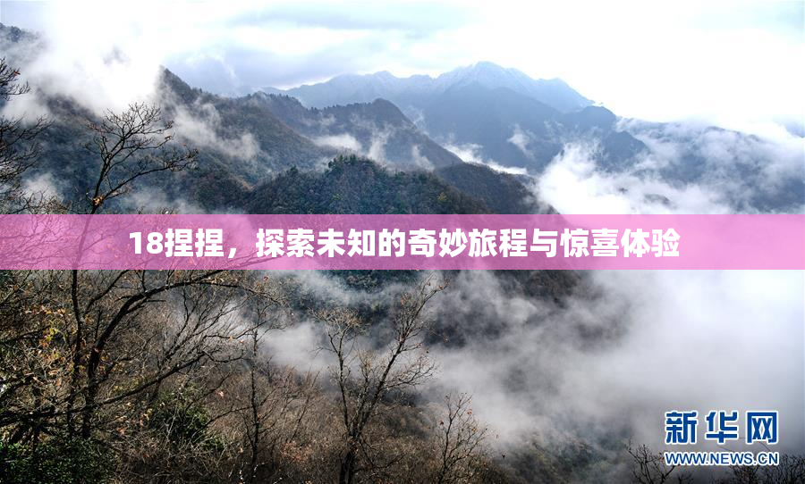 18捏捏，探索未知的奇妙旅程与惊喜体验