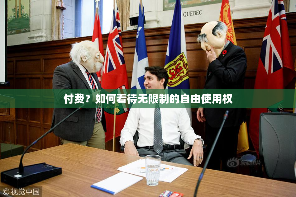 付费？如何看待无限制的自由使用权