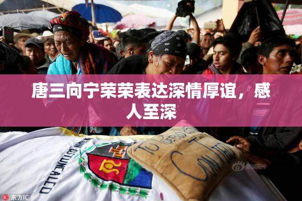 唐三向宁荣荣表达深情厚谊，感人至深