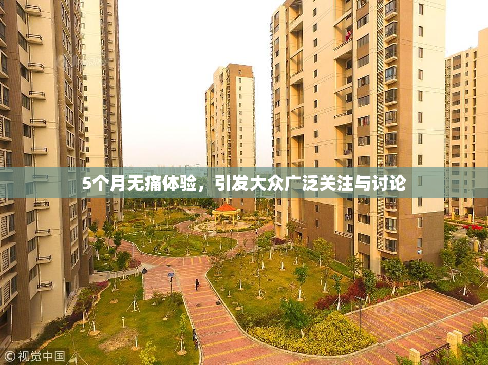 5个月无痛体验，引发大众广泛关注与讨论