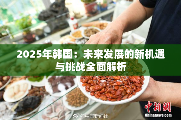 2025年韩国：未来发展的新机遇与挑战全面解析