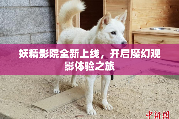 妖精影院全新上线，开启魔幻观影体验之旅