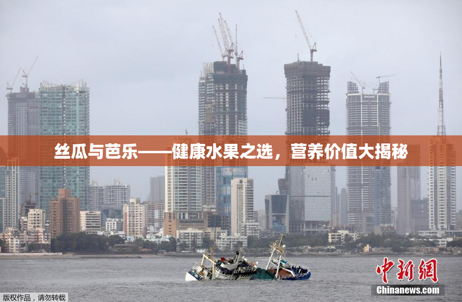 丝瓜与芭乐——健康水果之选，营养价值大揭秘