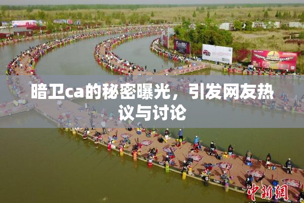 暗卫ca的秘密曝光，引发网友热议与讨论