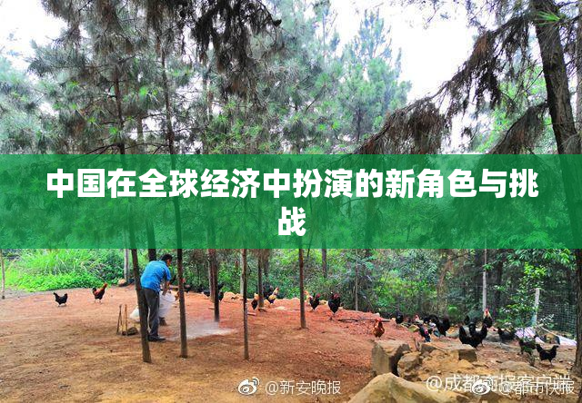 中国在全球经济中扮演的新角色与挑战