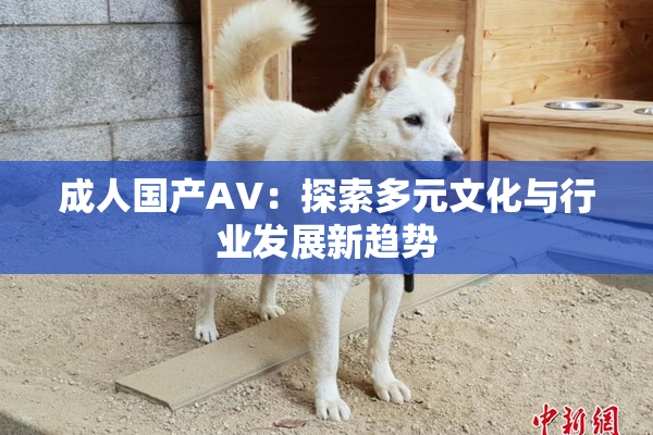 成人国产AV：探索多元文化与行业发展新趋势