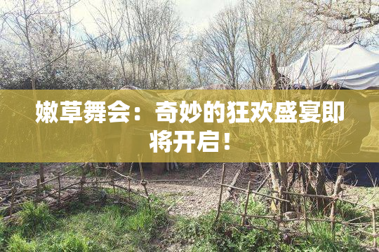 嫩草舞会：奇妙的狂欢盛宴即将开启！