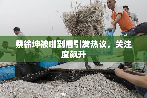 蔡徐坤被啪到后引发热议，关注度飙升
