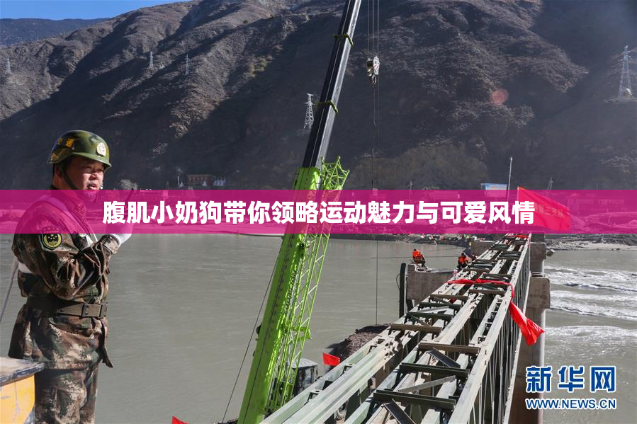 腹肌小奶狗带你领略运动魅力与可爱风情