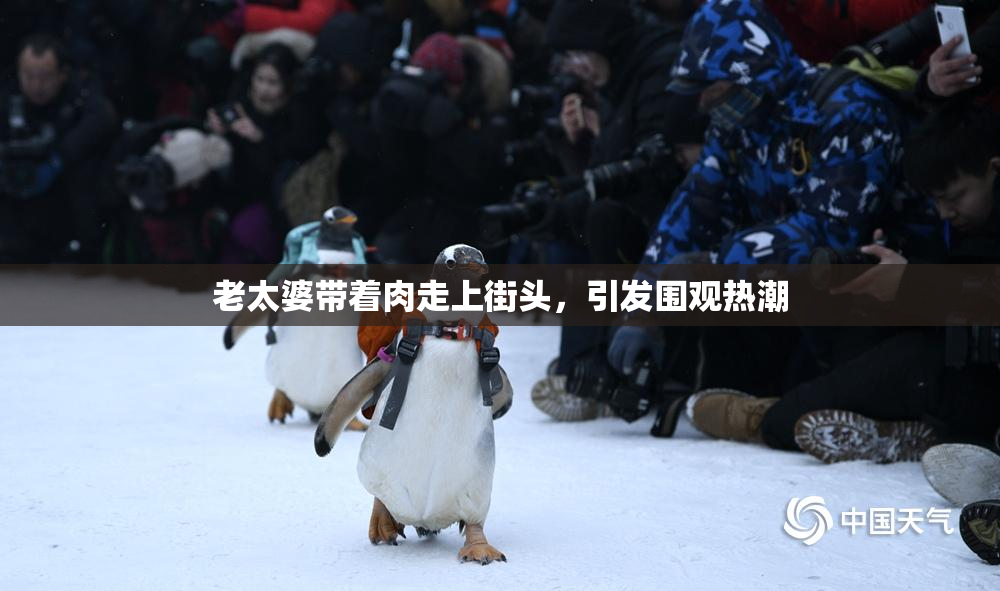 老太婆带着肉走上街头，引发围观热潮