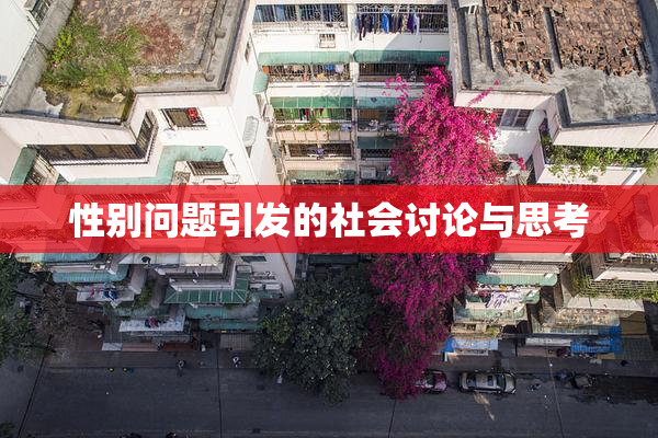 性别问题引发的社会讨论与思考