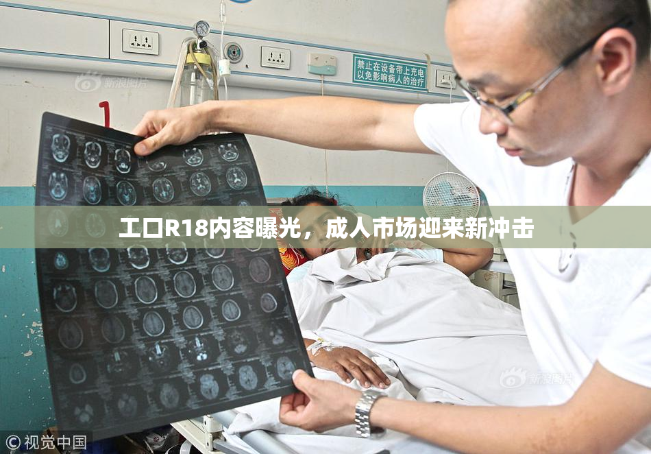 工口R18内容曝光，成人市场迎来新冲击
