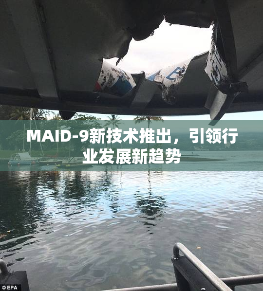 MAID-9新技术推出，引领行业发展新趋势