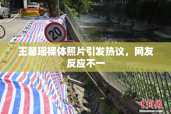 王馨瑶裸体照片引发热议，网友反应不一