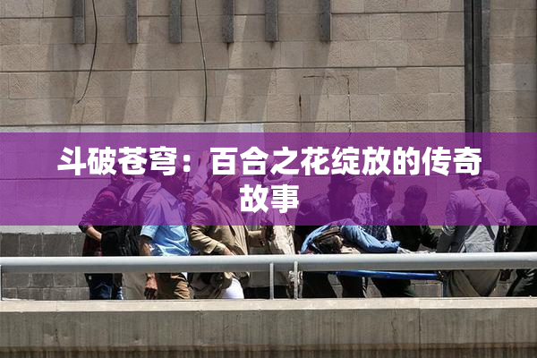 斗破苍穹：百合之花绽放的传奇故事
