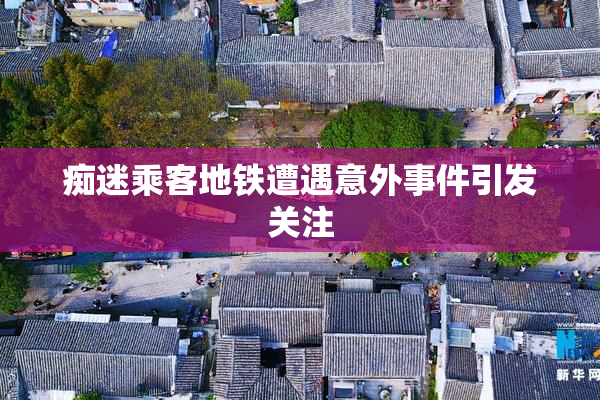 痴迷乘客地铁遭遇意外事件引发关注
