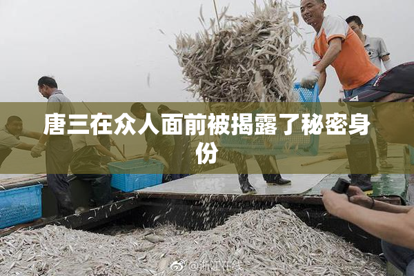 唐三在众人面前被揭露了秘密身份