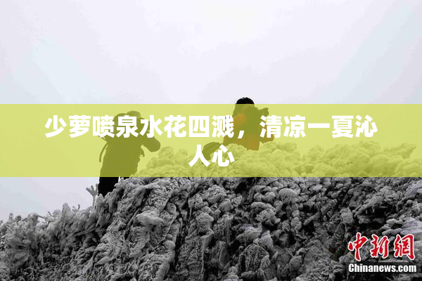 少萝喷泉水花四溅，清凉一夏沁人心
