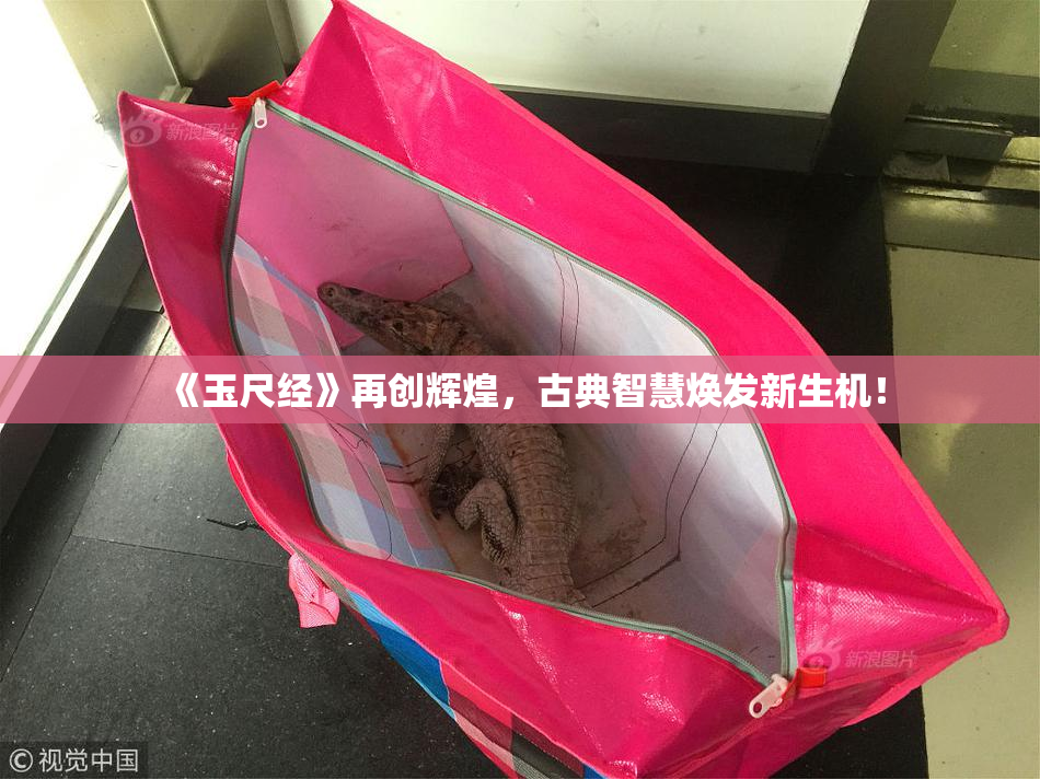 《玉尺经》再创辉煌，古典智慧焕发新生机！