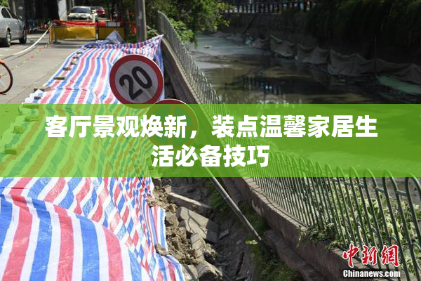 客厅景观焕新，装点温馨家居生活必备技巧