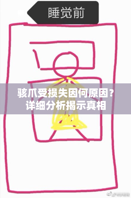 骇爪受损失因何原因？详细分析揭示真相