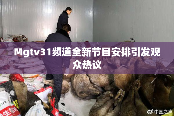 Mgtv31频道全新节目安排引发观众热议