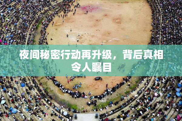 夜间秘密行动再升级，背后真相令人瞩目
