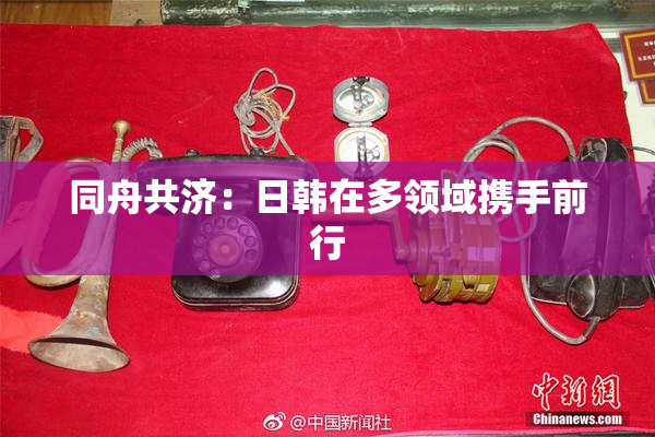 同舟共济：日韩在多领域携手前行
