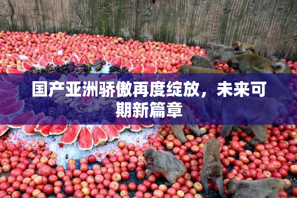 国产亚洲骄傲再度绽放，未来可期新篇章