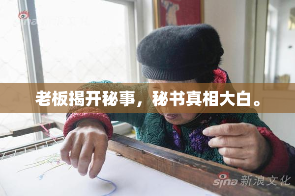 老板揭开秘事，秘书真相大白。