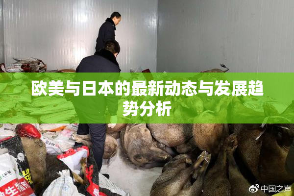 欧美与日本的最新动态与发展趋势分析