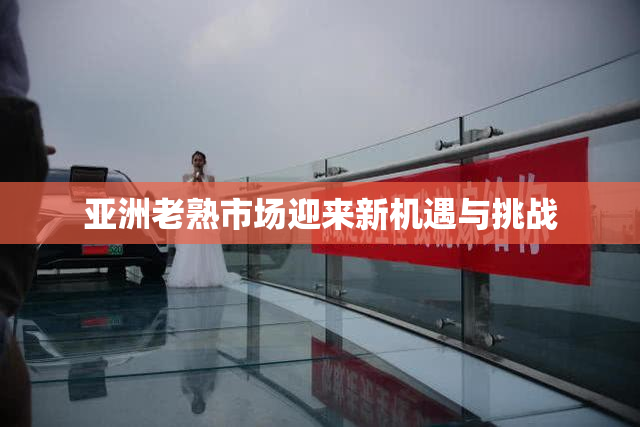亚洲老熟市场迎来新机遇与挑战