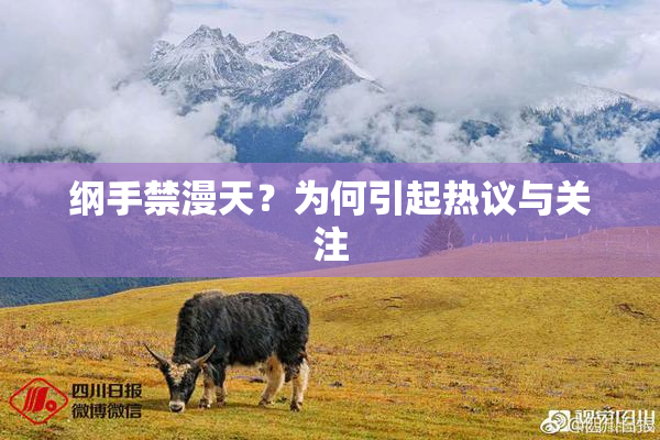 纲手禁漫天？为何引起热议与关注