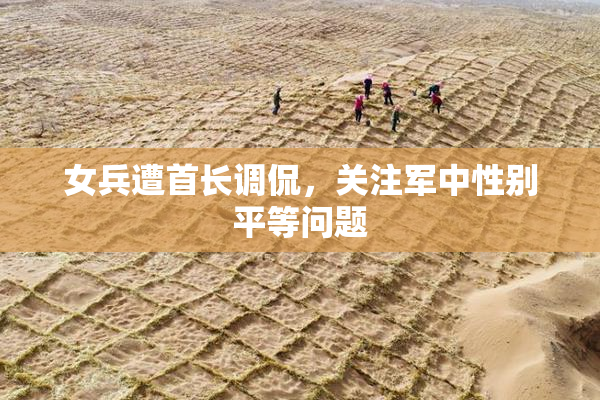 女兵遭首长调侃，关注军中性别平等问题