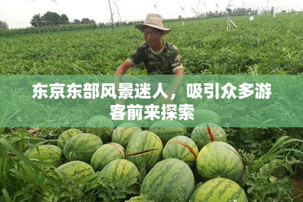 东京东部风景迷人，吸引众多游客前来探索
